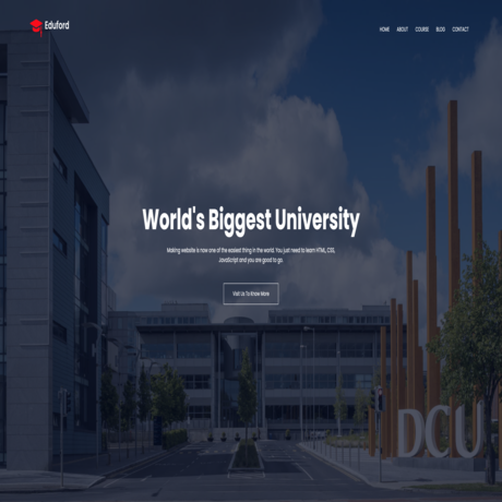 College Website